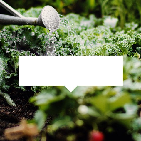 Gardening